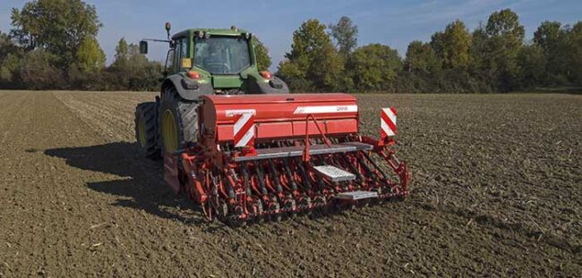 MdM-Maschio