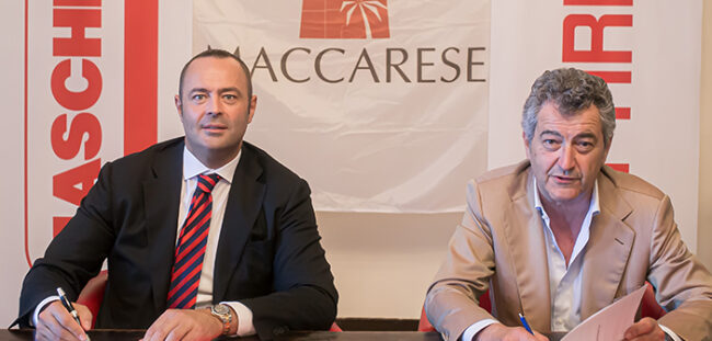 Maschio_maccarese