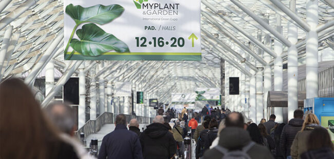 Mypplant-ok