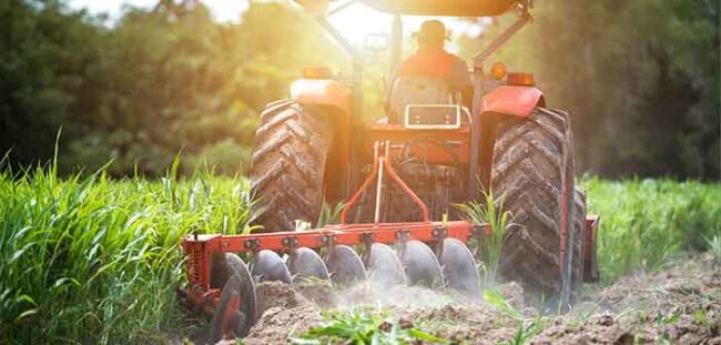 ISTAT-agricoltura