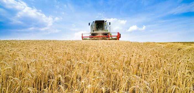 Mercato-macchine-agricole